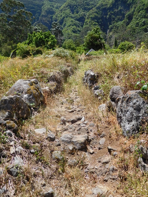 25 July 2015 3 Levadas around Ginjas — Levada do Lanço — photo 28