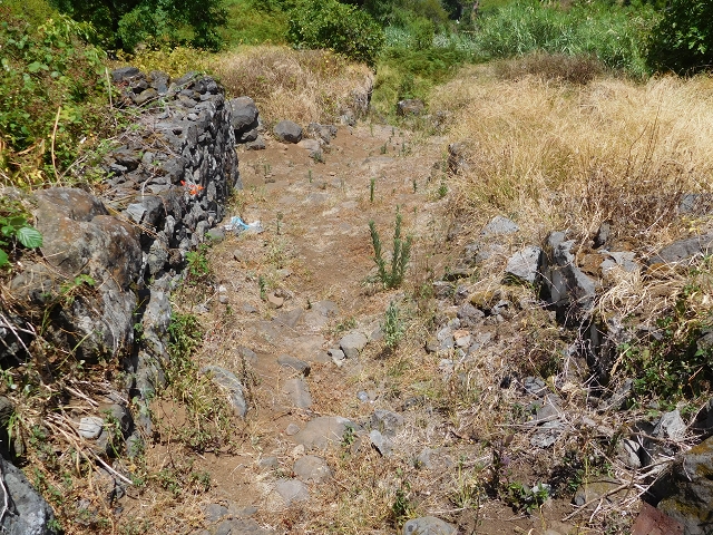 25 July 2015 3 Levadas around Ginjas — Levada do Lanço — photo 29