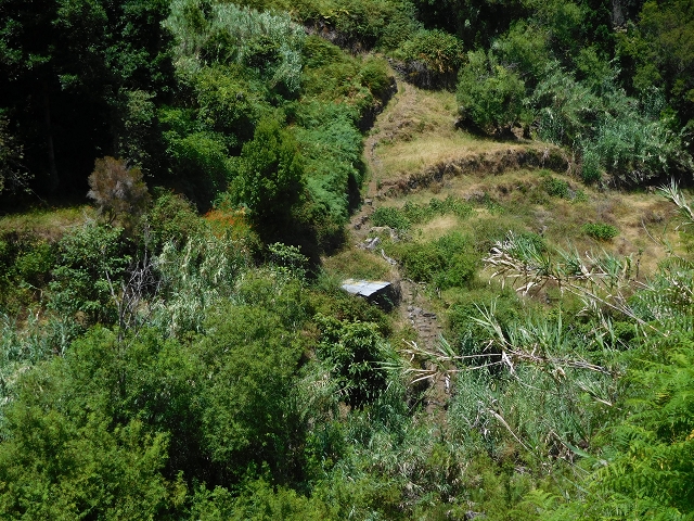 25 July 2015 3 Levadas around Ginjas — Levada do Lanço — photo 31