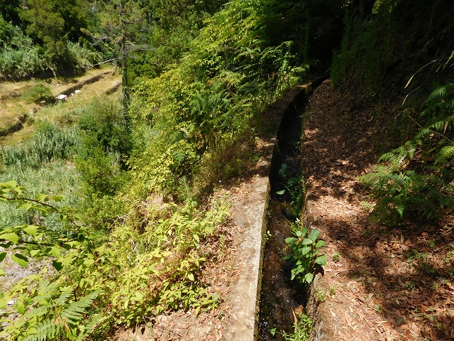 25 July 2015 3 Levadas around Ginjas — Levada do Lanço — photo 32