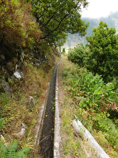 25 July 2015 3 Levadas around Ginjas — Levada da Ribeira do Passo as far as the end — photo 6