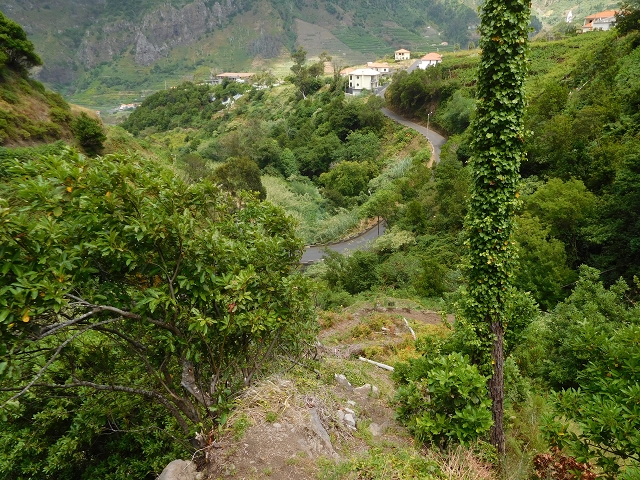 25 July 2015 3 Levadas around Ginjas — Levada da Ribeira do Passo as far as the end — photo 7