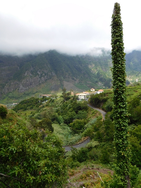 25 July 2015 3 Levadas around Ginjas — Levada da Ribeira do Passo as far as the end — photo 8