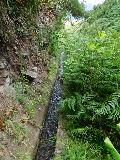 25 July 2015 3 Levadas around Ginjas — Levada da Ribeira do Passo as far as the end — photo 12