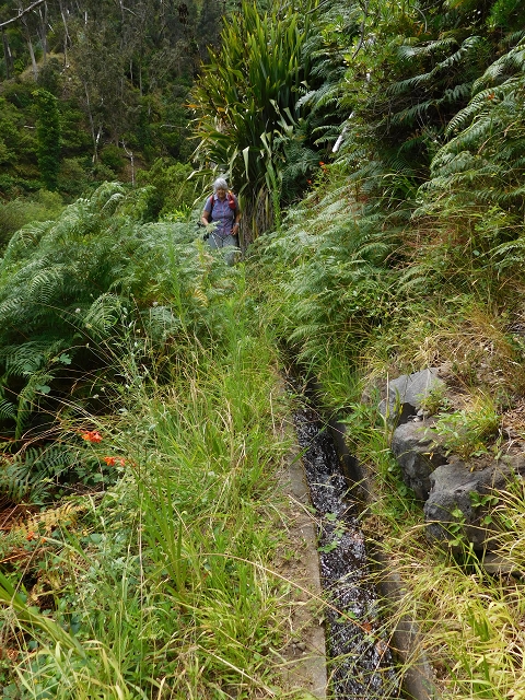 25 July 2015 3 Levadas around Ginjas — Levada da Ribeira do Passo as far as the end — photo 13