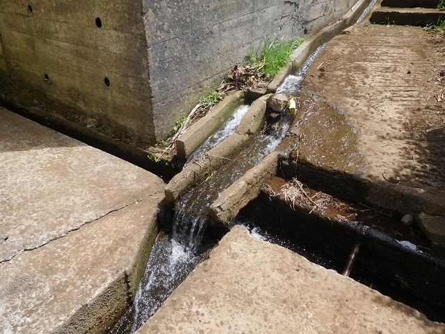 25 July 2015 3 Levadas around Ginjas — Levada da Ribeira do Passo to the Madre and back — photo 4