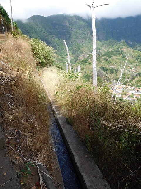 25 July 2015 3 Levadas around Ginjas — Levada da Ribeira do Passo to the Madre and back — photo 8