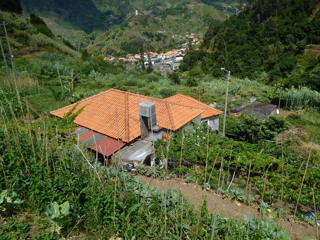 25 July 2015 3 Levadas around Ginjas — Levada da Ribeira do Passo to the Madre and back — photo 13
