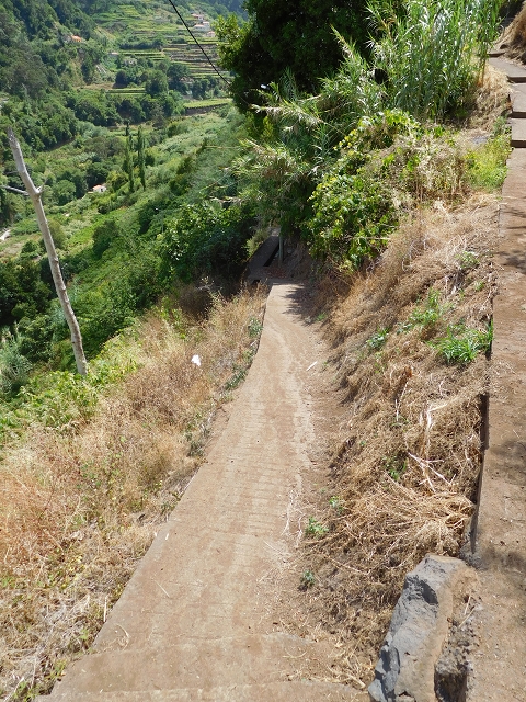 25 July 2015 3 Levadas around Ginjas — Levada da Ribeira do Passo to the Madre and back — photo 15