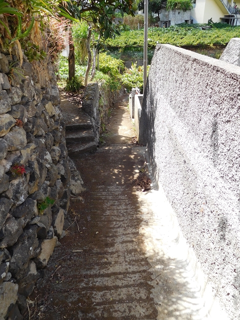 25 July 2015 3 Levadas around Ginjas — Levada da Ribeira do Passo to the Madre and back — photo 16