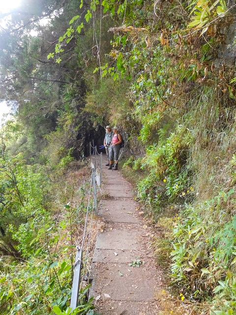 25 de agosto de 2017 Na Vereda Pau Branco de Ginjas a Estanquinhos — Na Levada da Faja do Rodrigues até ao desvio da Vereda Pau Branco — foto 10