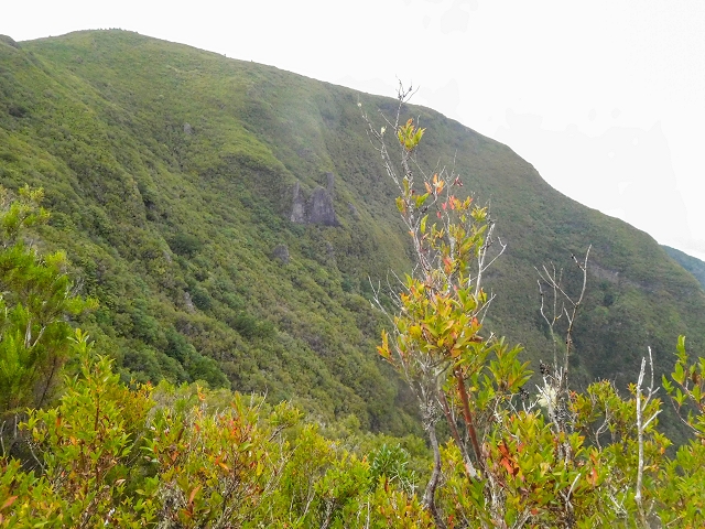 25 de agosto de 2017 Na Vereda Pau Branco de Ginjas a Estanquinhos — Descida da Madre e continuação da subida até à Paul da Serra — foto 14