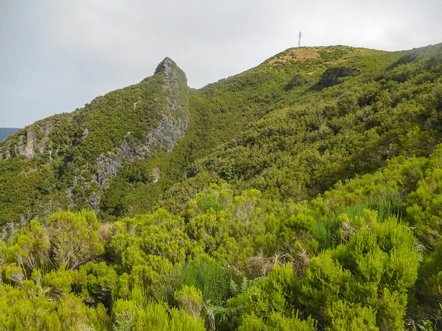 25 de agosto de 2017 Na Vereda Pau Branco de Ginjas a Estanquinhos — Descida da Madre e continuação da subida até à Paul da Serra — foto 15