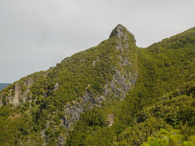 25 de agosto de 2017 Na Vereda Pau Branco de Ginjas a Estanquinhos — Descida da Madre e continuação da subida até à Paul da Serra — foto 16