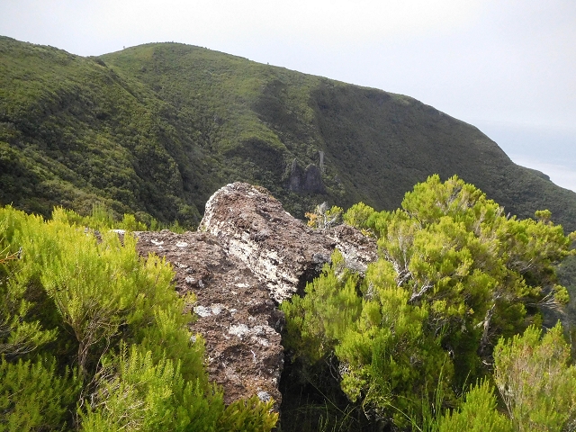 25 de agosto de 2017 Na Vereda Pau Branco de Ginjas a Estanquinhos — Descida da Madre e continuação da subida até à Paul da Serra — foto 18