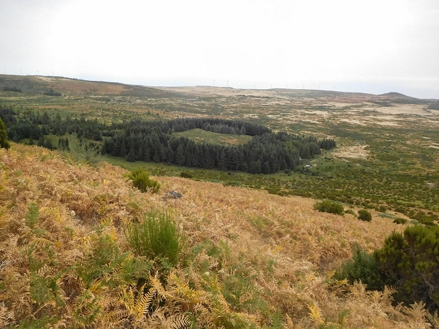 25 de agosto de 2017 Na Vereda Pau Branco de Ginjas a Estanquinhos — Descida da Madre e continuação da subida até à Paul da Serra — foto 19