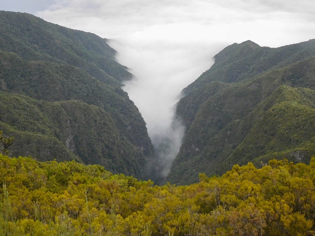 25 de agosto de 2017 Na Vereda Pau Branco de Ginjas a Estanquinhos — Pico Ruivo do Paul — foto 9