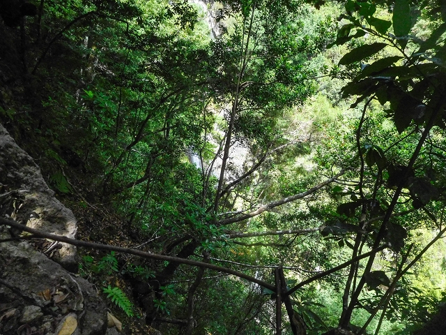 25 de agosto de 2017 Na Vereda Pau Branco de Ginjas a Estanquinhos — Até à passagem da Ribeira do Passo — foto 1