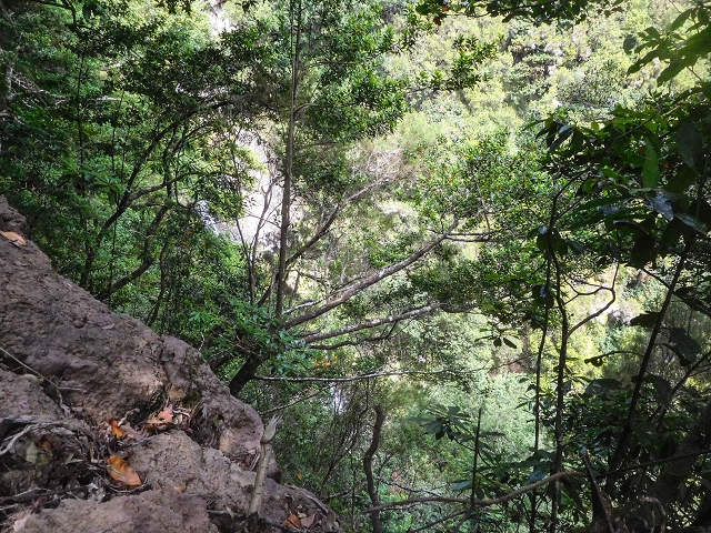 25 de agosto de 2017 Na Vereda Pau Branco de Ginjas a Estanquinhos — Até à passagem da Ribeira do Passo — foto 2
