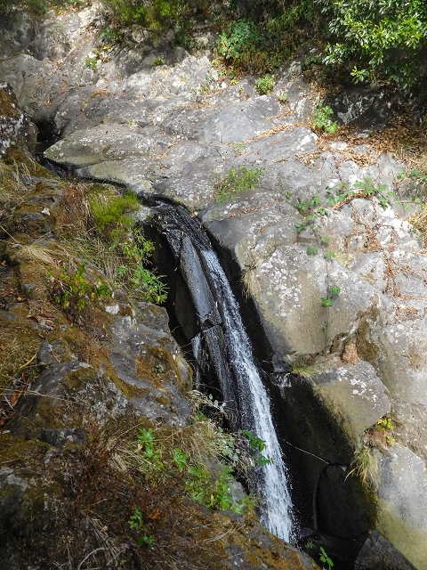 25 de agosto de 2017 Na Vereda Pau Branco de Ginjas a Estanquinhos — Até à passagem da Ribeira do Passo — foto 3