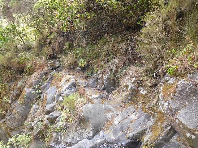 25 de agosto de 2017 Na Vereda Pau Branco de Ginjas a Estanquinhos — Até à passagem da Ribeira do Passo — foto 5