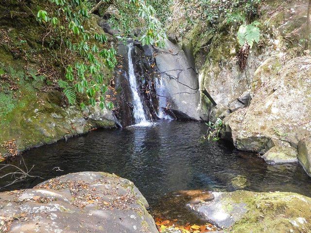 25 de agosto de 2017 Na Vereda Pau Branco de Ginjas a Estanquinhos — Até à passagem da Ribeira do Passo — foto 6