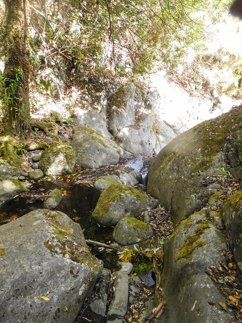 25 de agosto de 2017 Na Vereda Pau Branco de Ginjas a Estanquinhos — Até à passagem da Ribeira do Passo — foto 7