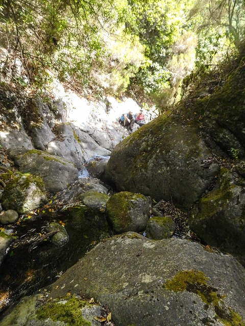 25 de agosto de 2017 Na Vereda Pau Branco de Ginjas a Estanquinhos — Até à passagem da Ribeira do Passo — foto 8