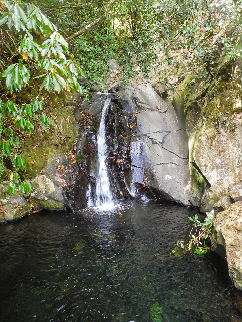25 de agosto de 2017 Na Vereda Pau Branco de Ginjas a Estanquinhos — Até à passagem da Ribeira do Passo — foto 9