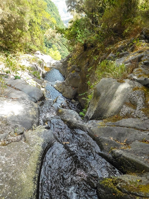 25 de agosto de 2017 Na Vereda Pau Branco de Ginjas a Estanquinhos — Até à passagem da Ribeira do Passo — foto 10