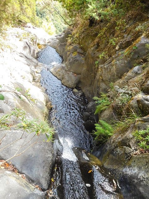 25 de agosto de 2017 Na Vereda Pau Branco de Ginjas a Estanquinhos — Até à passagem da Ribeira do Passo — foto 11