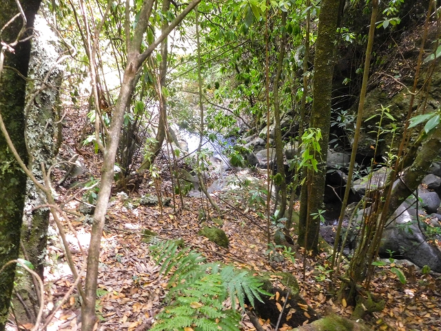 25 de agosto de 2017 Na Vereda Pau Branco de Ginjas a Estanquinhos — Seguindo por um caminho íngreme ao longo de poças e cascatas — foto 1