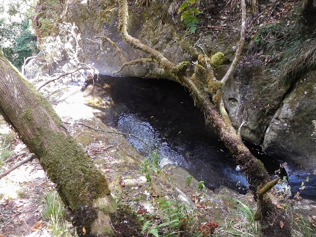 25 de agosto de 2017 Na Vereda Pau Branco de Ginjas a Estanquinhos — Seguindo por um caminho íngreme ao longo de poças e cascatas — foto 4