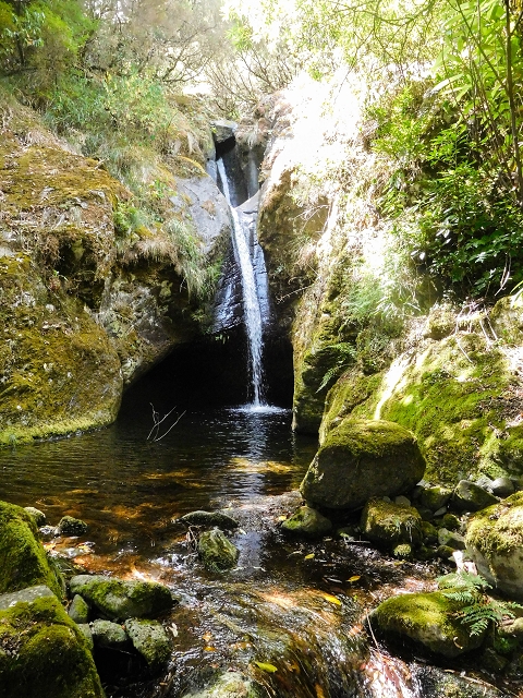 25 de agosto de 2017 Na Vereda Pau Branco de Ginjas a Estanquinhos — Seguindo por um caminho íngreme ao longo de poças e cascatas — foto 6