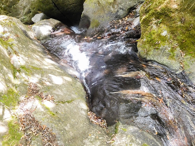 25 de agosto de 2017 Na Vereda Pau Branco de Ginjas a Estanquinhos — Seguindo por um caminho íngreme ao longo de poças e cascatas — foto 7