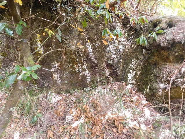 25 de agosto de 2017 Na Vereda Pau Branco de Ginjas a Estanquinhos — A gruta e o desvio até à Levada do Norte — foto 2