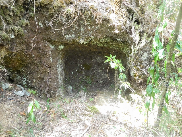 25 de agosto de 2017 Na Vereda Pau Branco de Ginjas a Estanquinhos — A gruta e o desvio até à Levada do Norte — foto 3
