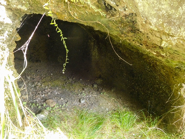 25 de agosto de 2017 Na Vereda Pau Branco de Ginjas a Estanquinhos — A gruta e o desvio até à Levada do Norte — foto 4