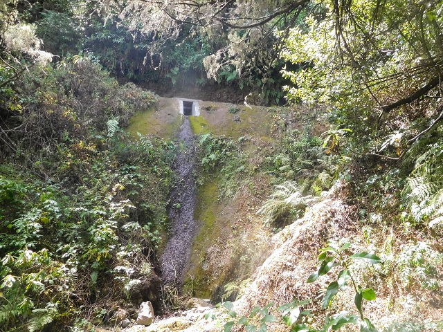 25 de agosto de 2017 Na Vereda Pau Branco de Ginjas a Estanquinhos — A gruta e o desvio até à Levada do Norte — foto 5