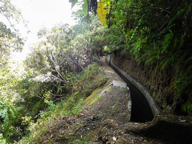25 de agosto de 2017 Na Vereda Pau Branco de Ginjas a Estanquinhos — A gruta e o desvio até à Levada do Norte — foto 6