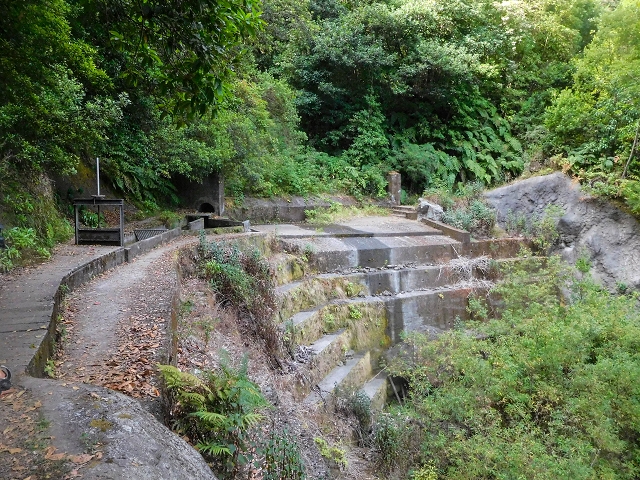 25 de agosto de 2017 Na Vereda Pau Branco de Ginjas a Estanquinhos — Na Levada da Faja do Rodrigues até ao desvio da Vereda Pau Branco — foto 4