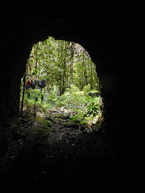 25 de agosto de 2017 Na Vereda Pau Branco de Ginjas a Estanquinhos — Na Levada do Plaino Velho até à Madre — foto 4