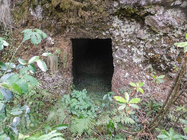 25 de agosto de 2017 Na Vereda Pau Branco de Ginjas a Estanquinhos — Na Levada do Plaino Velho até à Madre — foto 5