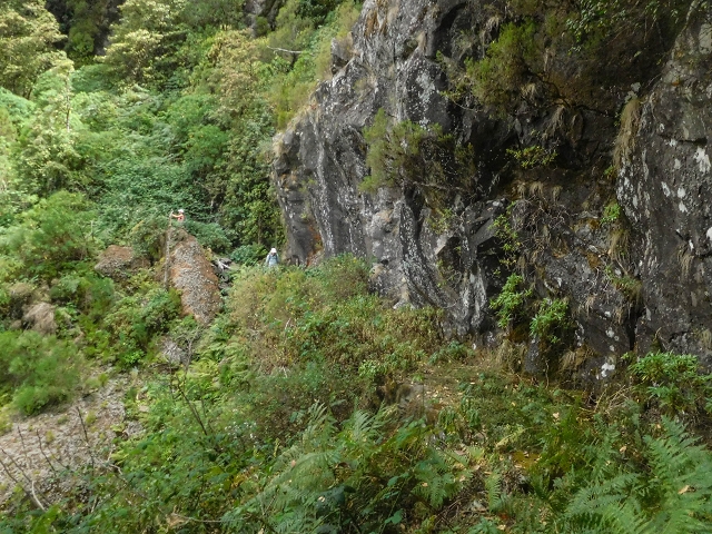 25 de agosto de 2017 Na Vereda Pau Branco de Ginjas a Estanquinhos — Na Levada do Plaino Velho até à Madre — foto 8