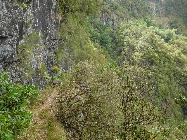 25 de agosto de 2017 Na Vereda Pau Branco de Ginjas a Estanquinhos — Na Levada do Plaino Velho até à Madre — foto 9