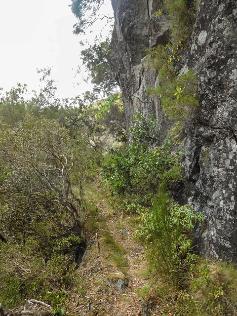 25 de agosto de 2017 Na Vereda Pau Branco de Ginjas a Estanquinhos — Na Levada do Plaino Velho até à Madre — foto 11