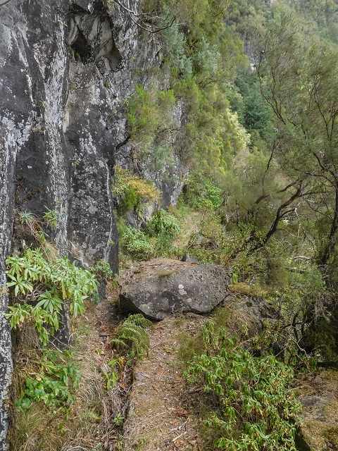 25 de agosto de 2017 Na Vereda Pau Branco de Ginjas a Estanquinhos — Na Levada do Plaino Velho até à Madre — foto 12