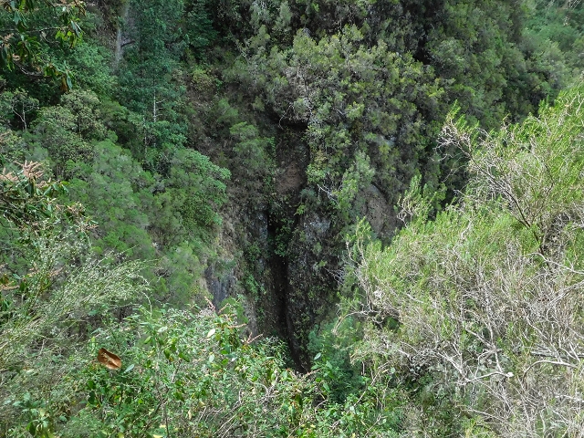 25 de agosto de 2017 Na Vereda Pau Branco de Ginjas a Estanquinhos — Na Levada do Plaino Velho até à Madre — foto 15