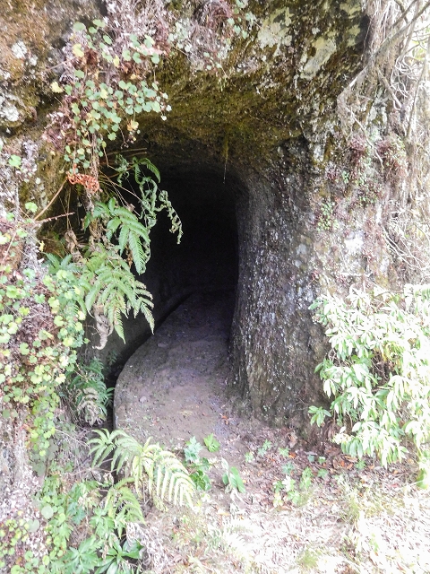 25 de agosto de 2017 Na Vereda Pau Branco de Ginjas a Estanquinhos — Na Levada do Plaino Velho até à Madre — foto 16