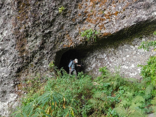 25 de agosto de 2017 Na Vereda Pau Branco de Ginjas a Estanquinhos — Na Levada do Plaino Velho até à Madre — foto 18